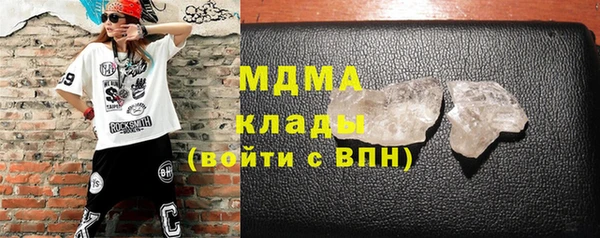 прущие грибы Инта