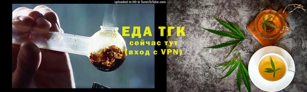 прущие грибы Инта
