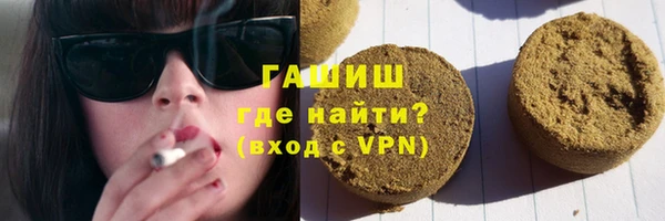 прущие грибы Инта