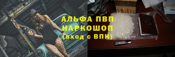прущие грибы Инта