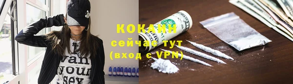 молекула духа Инсар