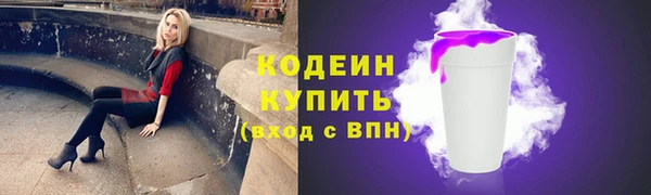 прущие грибы Инта
