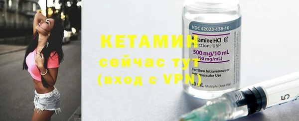 прущие грибы Инта