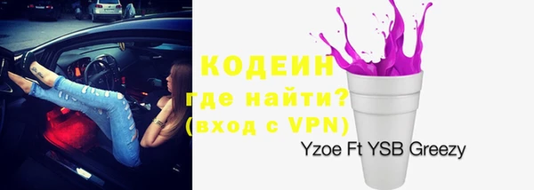 прущие грибы Инта