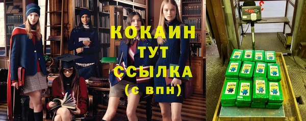 прущие грибы Инта