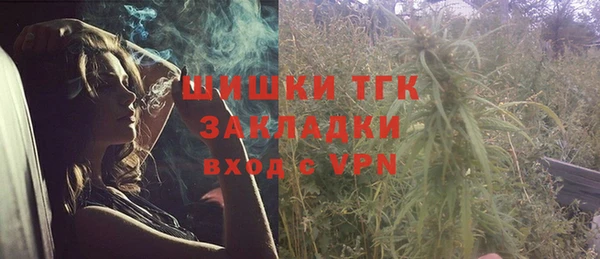прущие грибы Инта