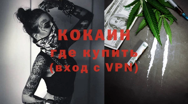 прущие грибы Инта