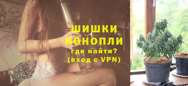 прущие грибы Инта
